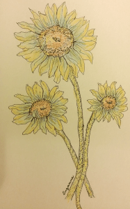 Sunflowers
